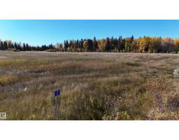 #2 49505 Rr 80, Rural Brazeau County, AB T7A1T1 Photo 9