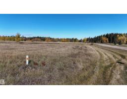 #9 49505 Rr 80, Rural Brazeau County, AB T7A1T1 Photo 8