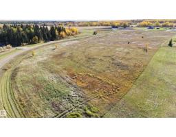 #208 49505 Rr 80, Rural Brazeau County, AB T7A1T1 Photo 9