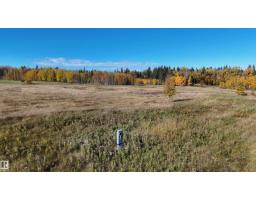 #208 49505 Rr 80, Rural Brazeau County, AB T7A1T1 Photo 8
