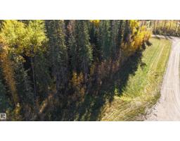 #111 49505 Rr 80, Rural Brazeau County, AB T7A1T1 Photo 10