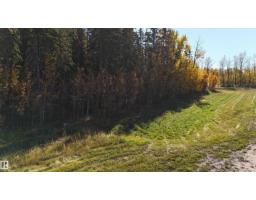 #111 49505 Rr 80, Rural Brazeau County, AB T7A1T1 Photo 8