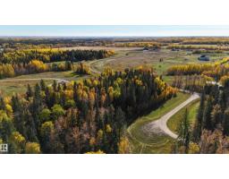 #111 49505 Rr 80, Rural Brazeau County, AB T7A1T1 Photo 7