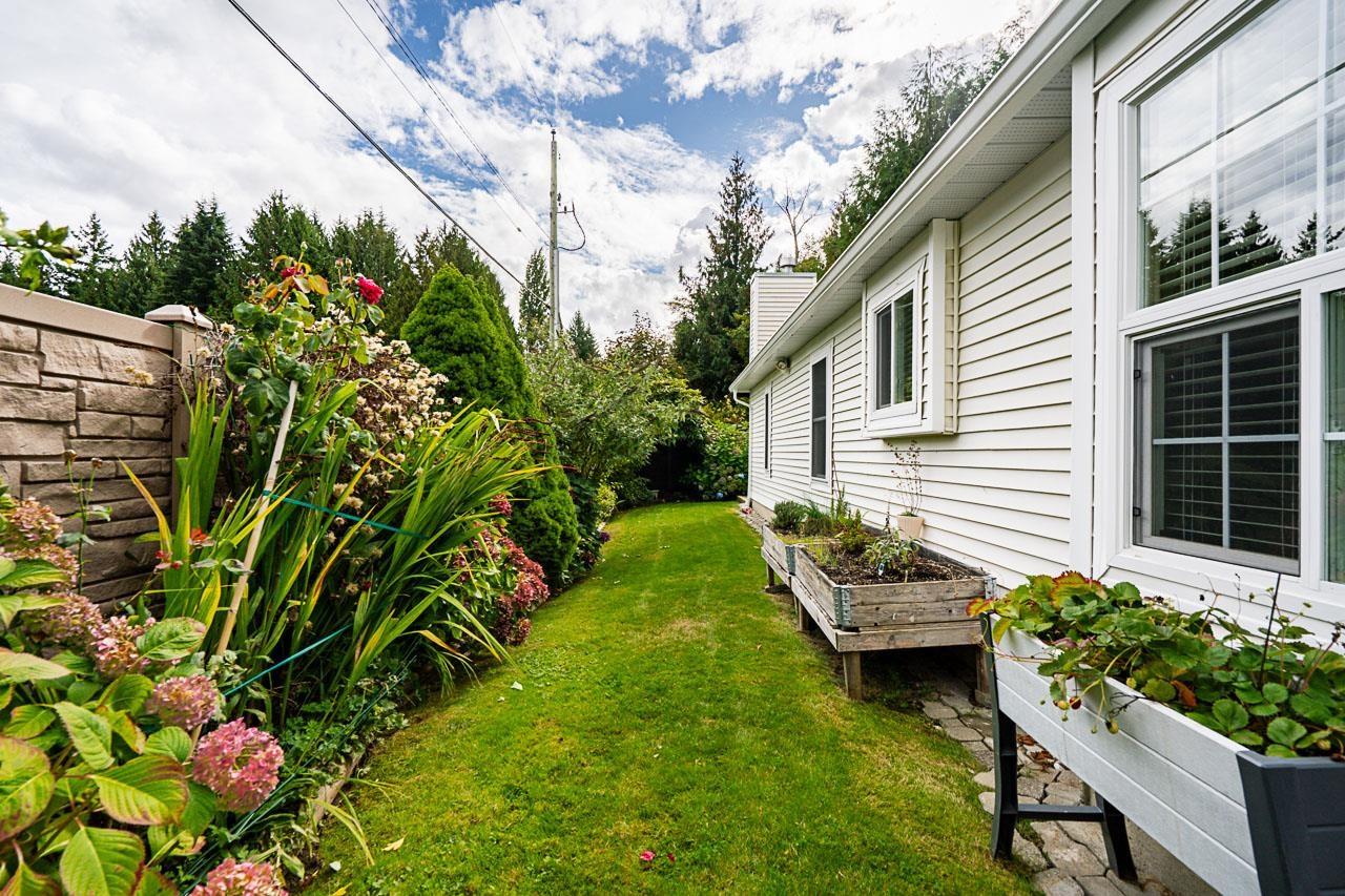 3 6537 138 STREET, Surrey