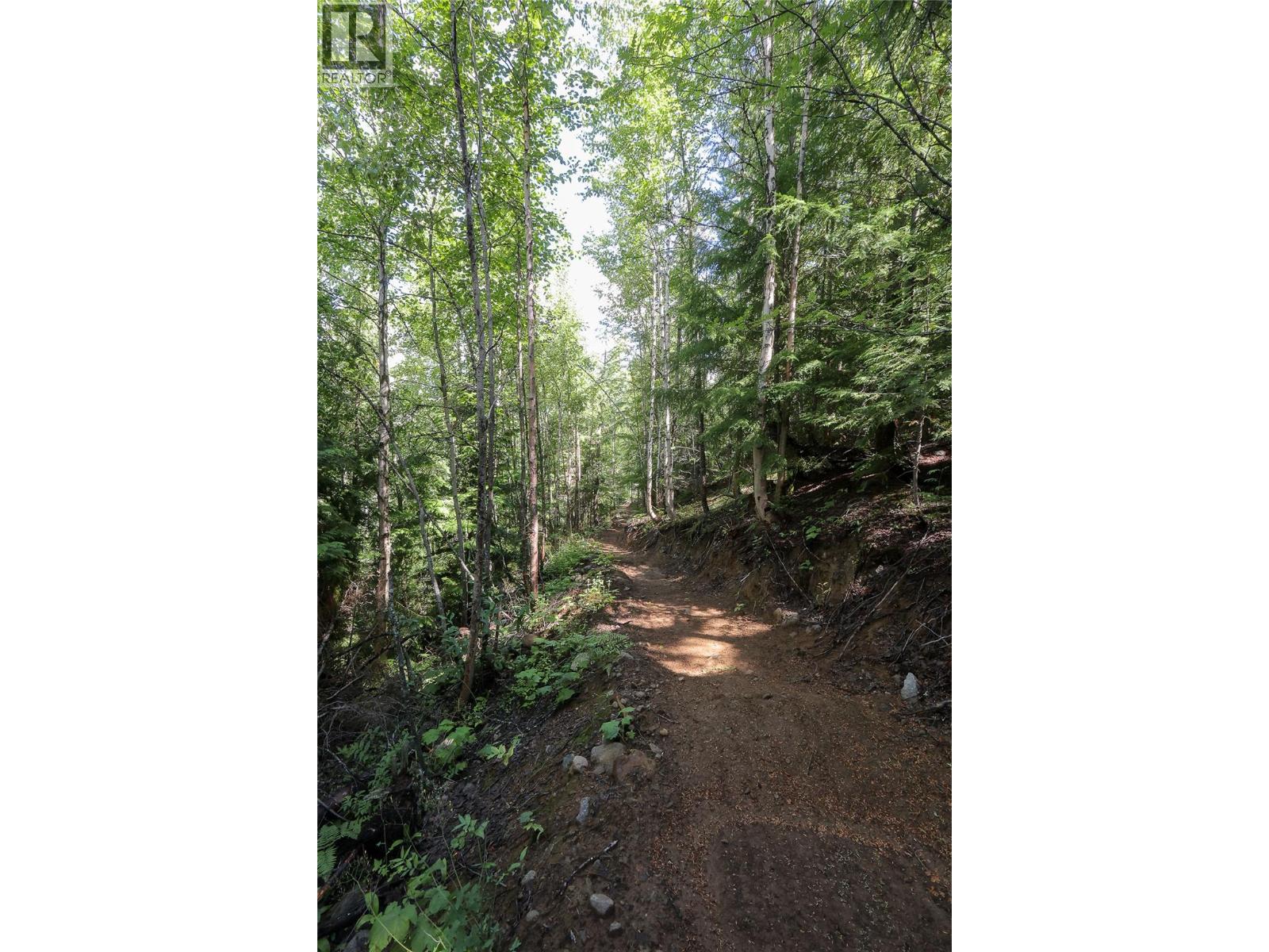 300 Richie Road, Rossland