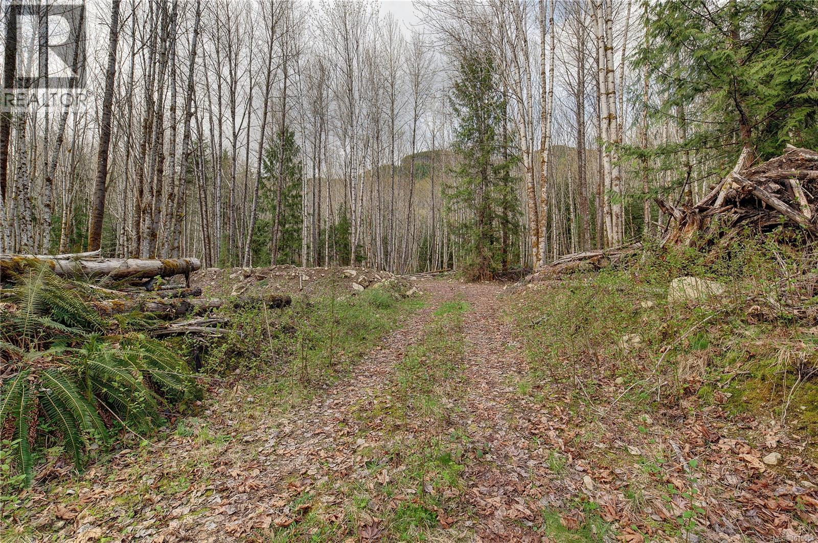 Lot B 7531 Cowichan Lake Rd, Lake Cowichan