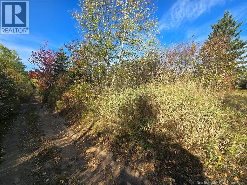 14.97 acres Chemin Saulnier Ouest, Canton Des Basques — photo 2