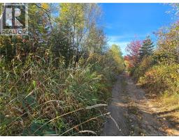 14.97 Acres Chemin Saulnier Ouest, Canton Des Basques, NB E1X2G6 Photo 7