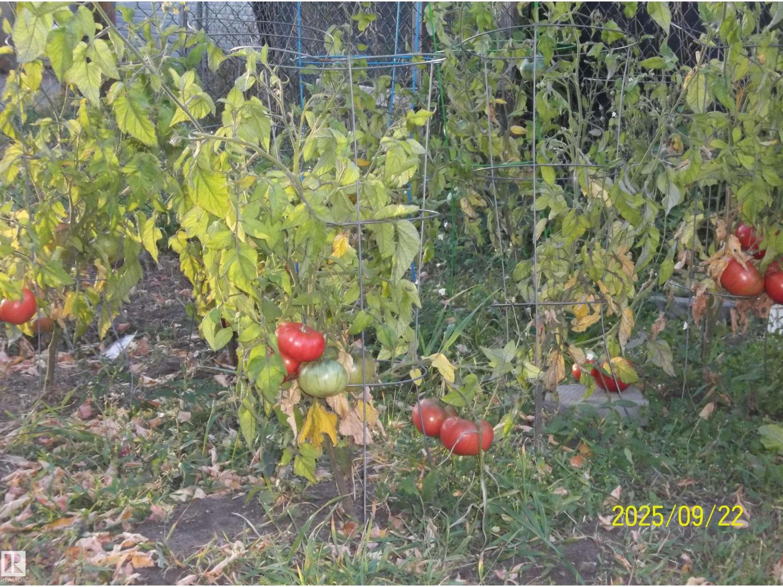 11824 79 ST NW, Edmonton