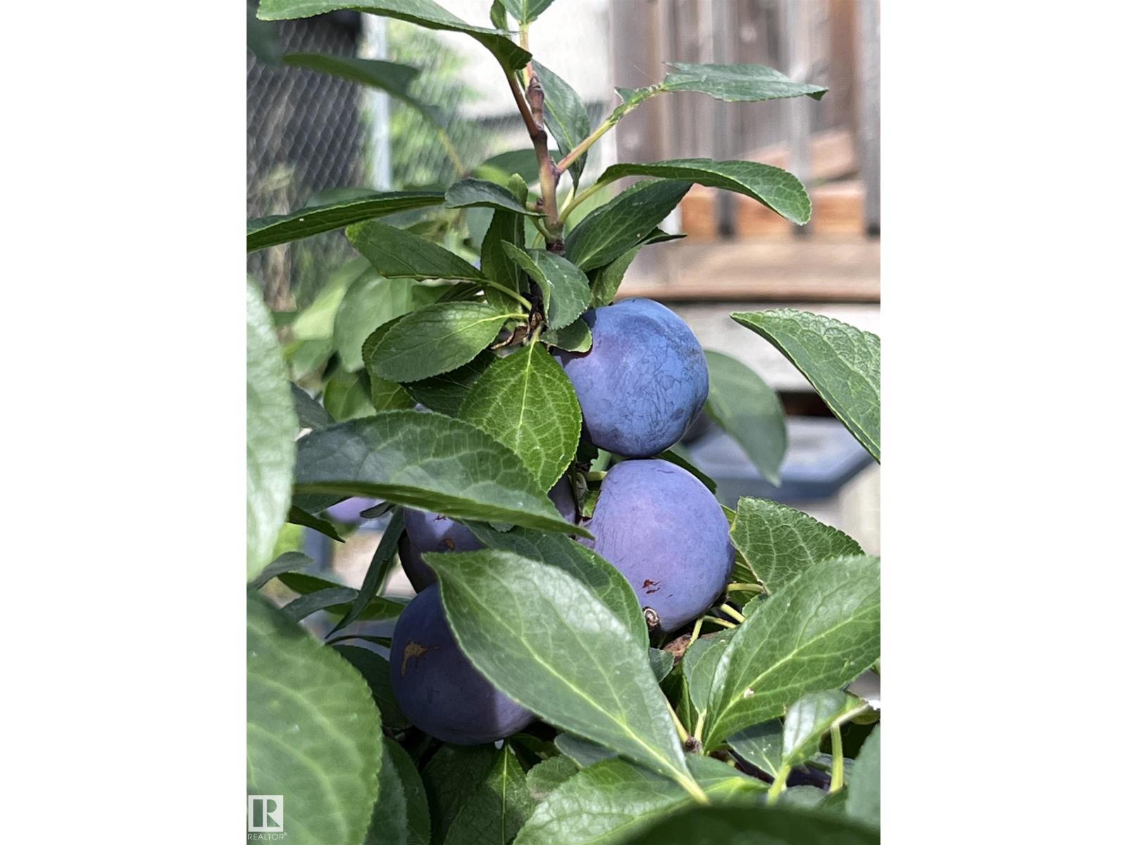 11824 79 ST NW, Edmonton