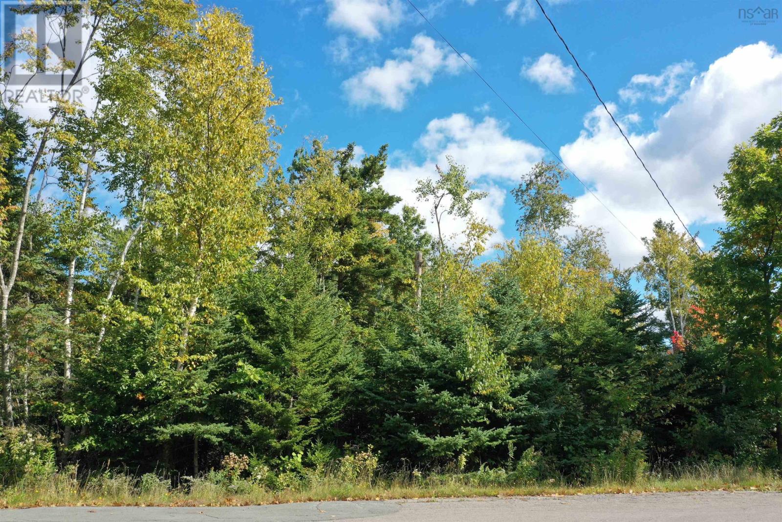 Property 5 of 14 of Lot 9 Reade Street