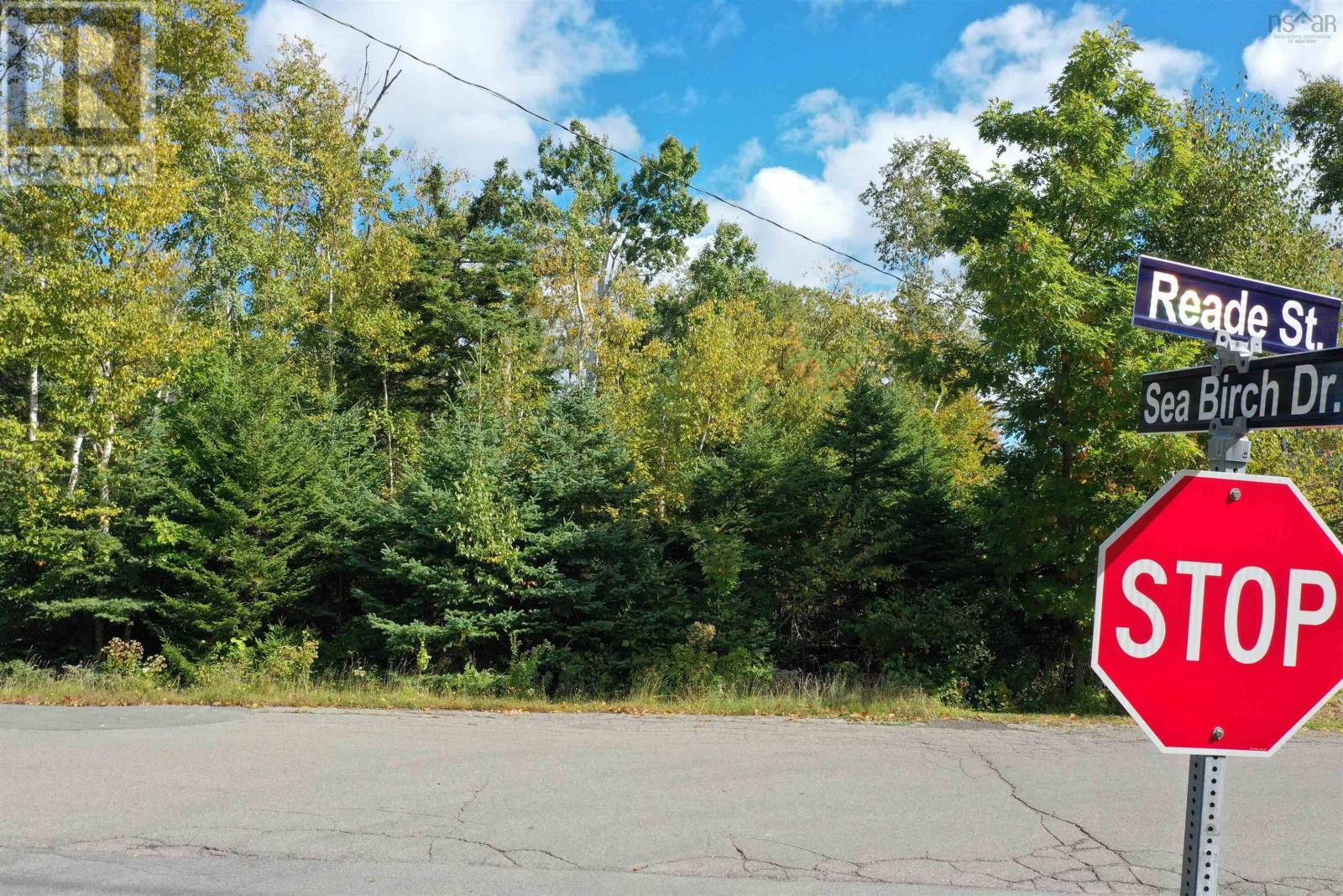 Property 14 of 14 of Lot 9 Reade Street