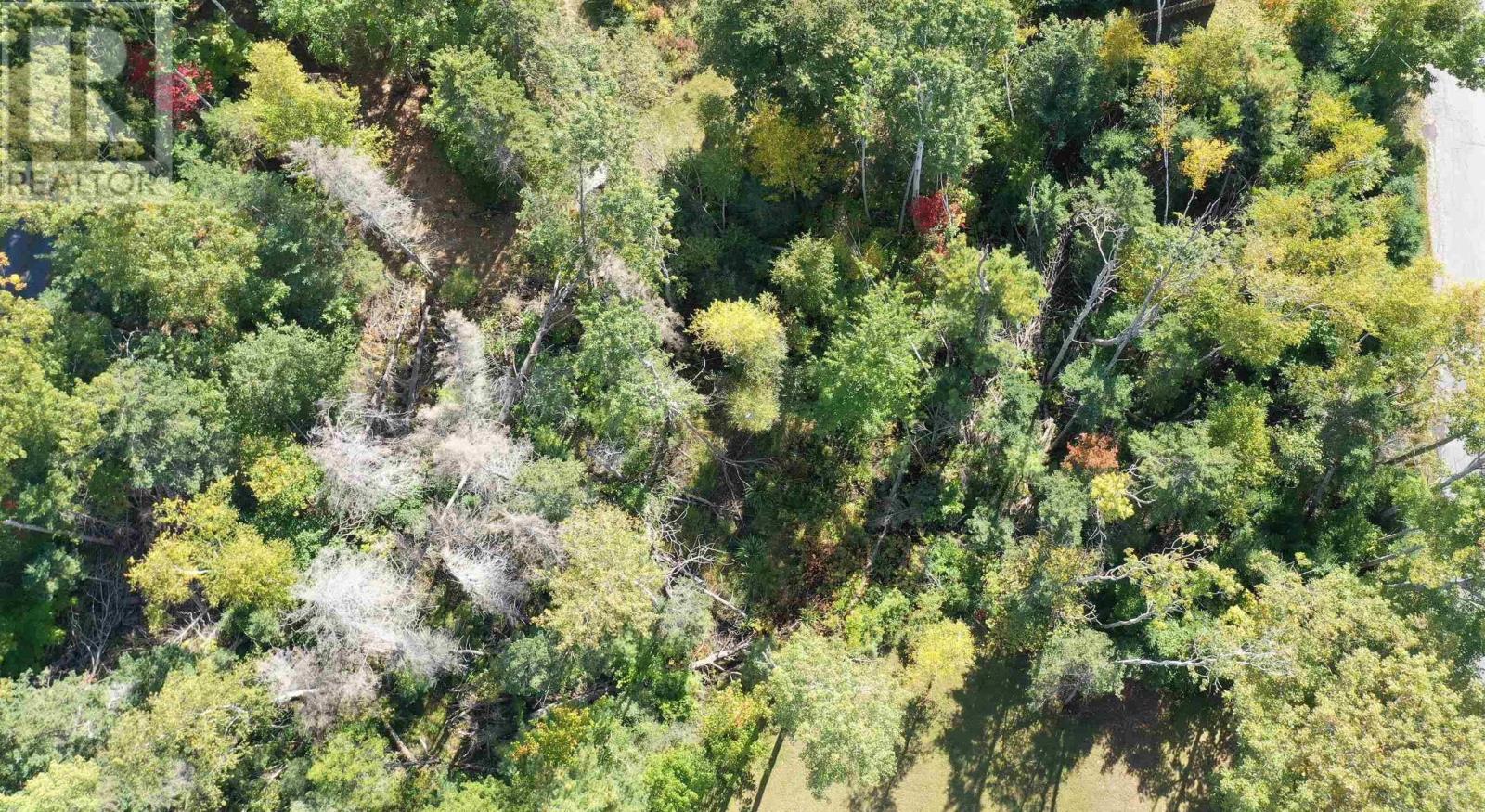 Property 9 of 14 of Lot 9 Reade Street