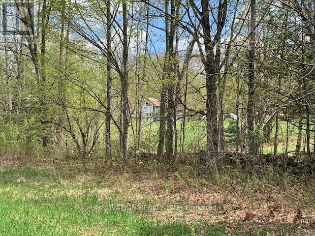 1603 FLOWER STATION ROAD - 21