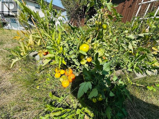 1038 SEVENTH AVENUE, New Westminster