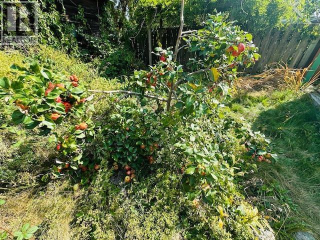 1038 SEVENTH AVENUE, New Westminster