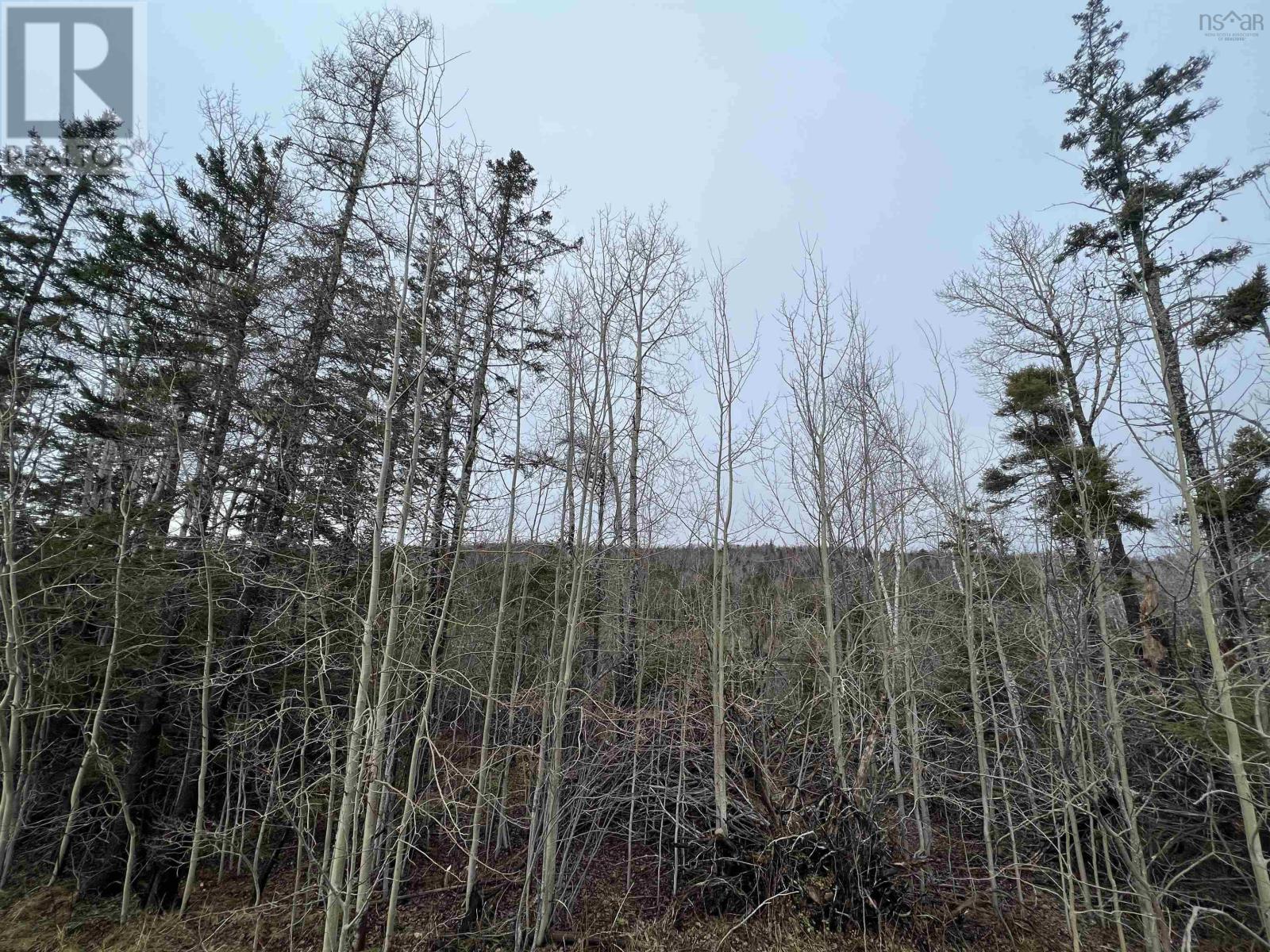 Property 4 of 4 of Leitches creek Road