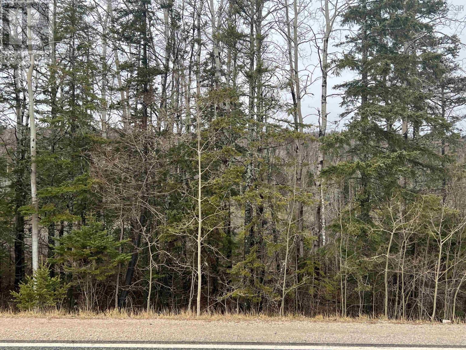 Property 2 of 4 of Leitches creek Road