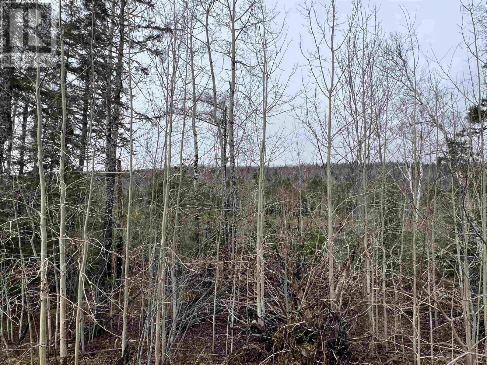 Property photo of Leitches creek Road