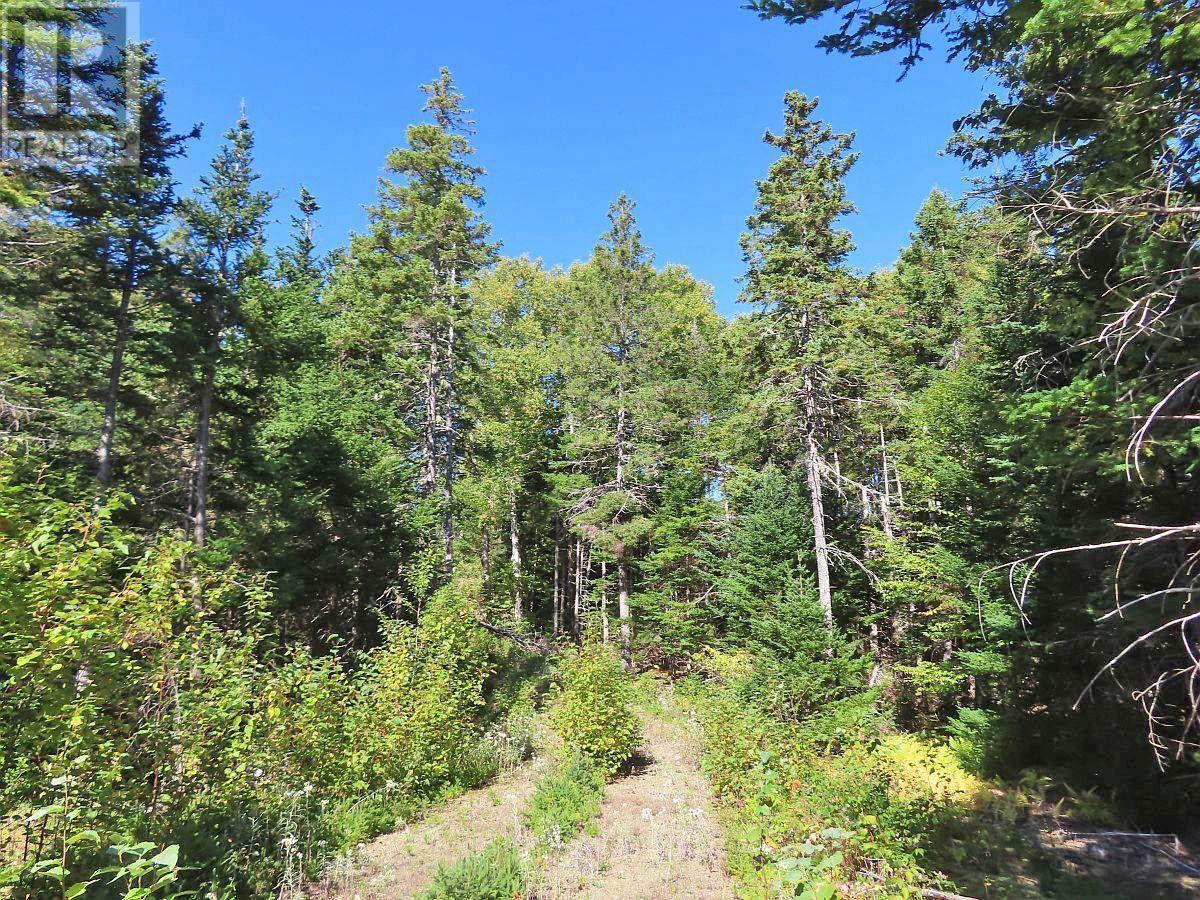 Property 29 of 48 of Lot 38 Redbird Drive