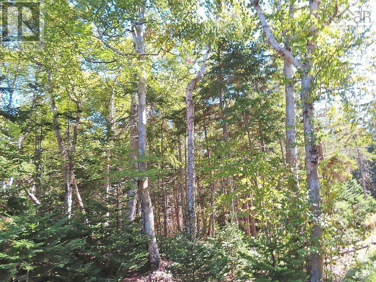 Property 32 of 48 of Lot 38 Redbird Drive