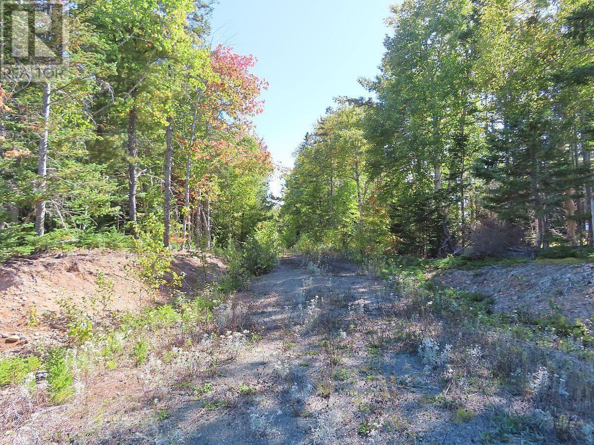 Property 37 of 48 of Lot 38 Redbird Drive