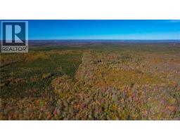 Na Green Road, Elgin, NB E4Z1L7 Photo 16