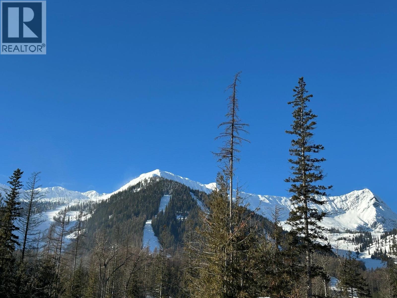 4559 TIMBERLINE Crescent Unit# 541, Fernie