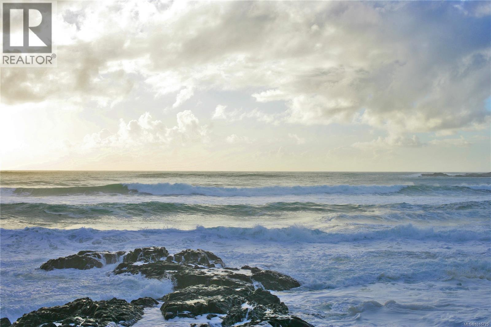 871 Moser Pl, Tofino