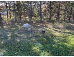 140 Russel Dr, Rural St  Paul County, AB T0A3B0 Photo 22