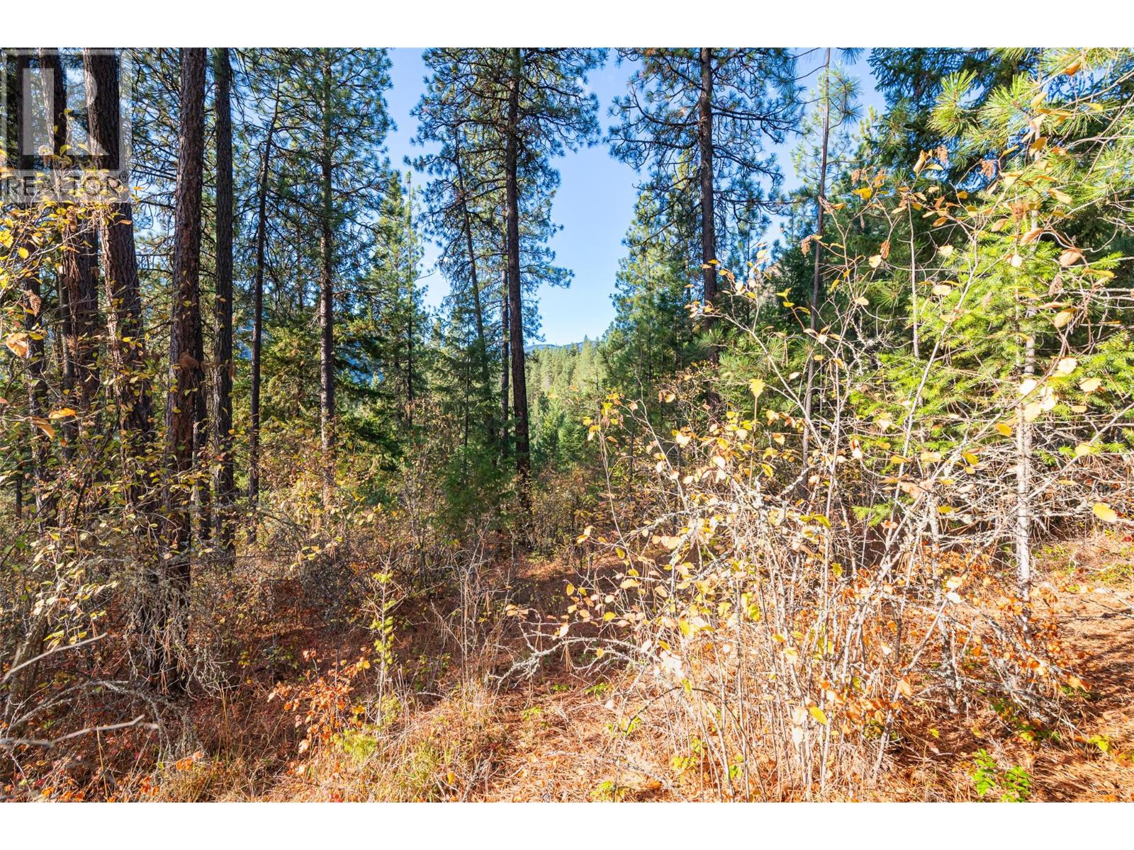 Lot 11 EVANS Road, Creston