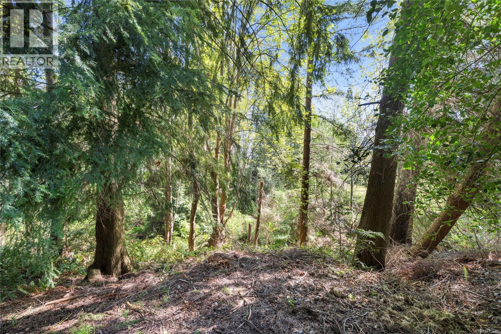 651 Belyea Rd, Qualicum Beach