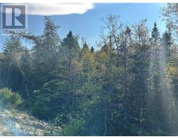 195 Conception Bay Highway thumbnail 12