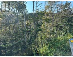 195 Conception Bay Highway thumbnail 13