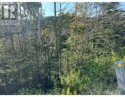195 Conception Bay Highway thumbnail 14