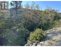 195 Conception Bay Highway thumbnail 17