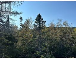 195 Conception Bay Highway thumbnail 18