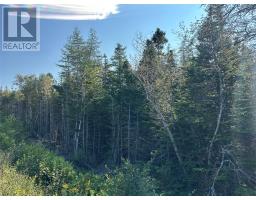 195 Conception Bay Highway thumbnail 19