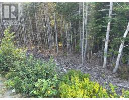 195 Conception Bay Highway thumbnail 22