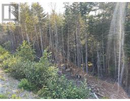 195 Conception Bay Highway thumbnail 23