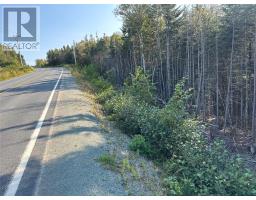 195 Conception Bay Highway thumbnail 24