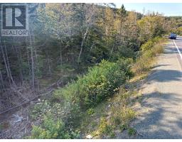 195 Conception Bay Highway thumbnail 25