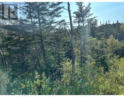 195 Conception Bay Highway thumbnail 3