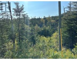 195 Conception Bay Highway thumbnail 4