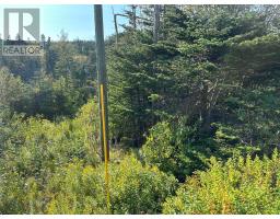 195 Conception Bay Highway thumbnail 5