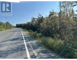 195 Conception Bay Highway thumbnail 7