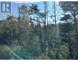 195 Conception Bay Highway thumbnail 8