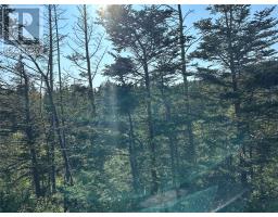 195 Conception Bay Highway thumbnail 9