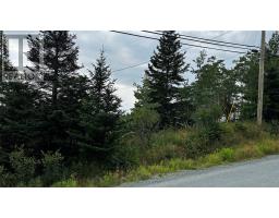 177 Bauline Line thumbnail 2