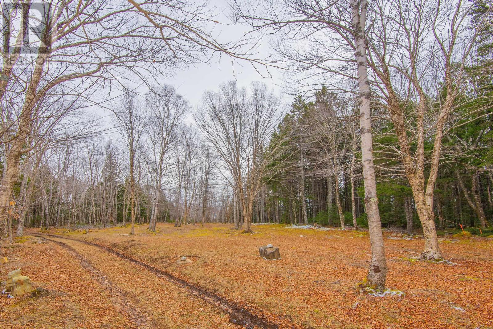 Property 11 of 17 of Lot Peter Leblanc Road